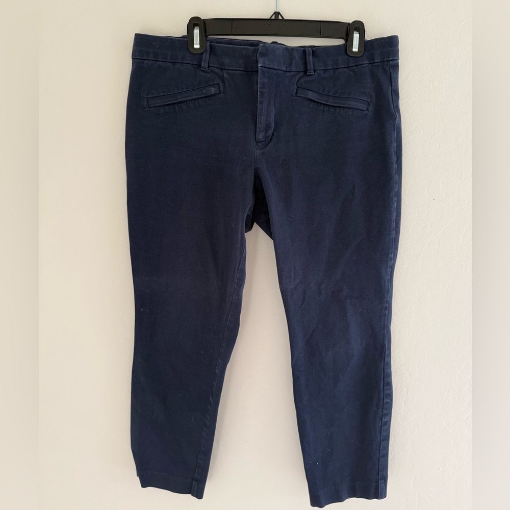 GAP Navy Ankle Pants